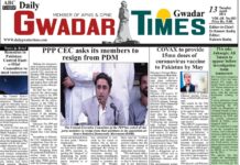 Roots schools promote cricket sports